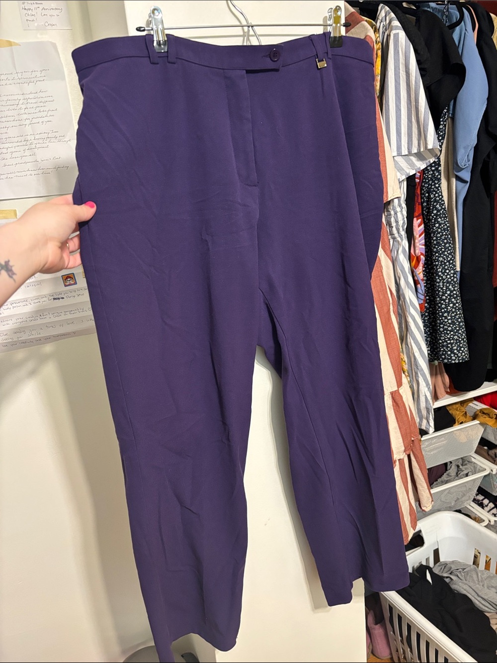 TanJay Purple Straight-Leg Tailored Pants